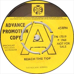 ROCKIN' BERRIES / ロッキン・ベリーズ / REACH THE TOP
