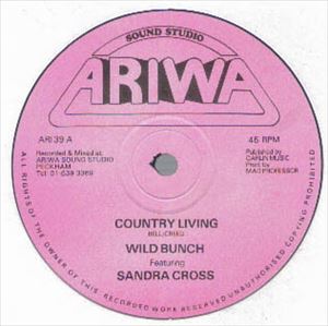 WILD BUNCH (REGGAE) / ワイルド・バンチ / COUNTRY LIVING