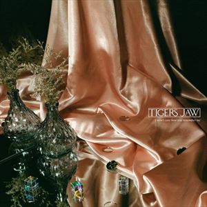 TIGERS JAW / タイガーズ・ジョウ / I WON'T CARE HOW YOU REMEMBER ME