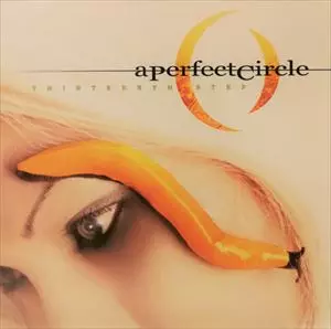 【レア‼️】The Perfect Circle InnerCityRecords 46b69cab760fe77f03072d6be2772e