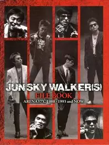 7ep●Jun Sky Walker(s) / すてきな夜空　見本盤 7ep○Jun Sky Walker(s) / すてきな夜空 見本盤 Jun Sky Walker