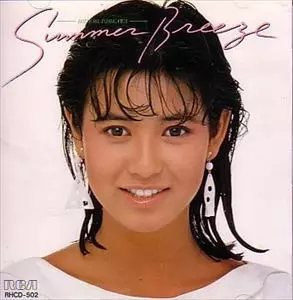 HIDEMI ISHIKAWA / 石川秀美商品一覧｜OLD ROCK｜ディスク