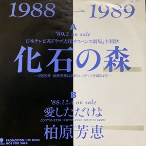 YOSHIE KASHIWABARA / 柏原芳恵商品一覧｜ディスクユニオン