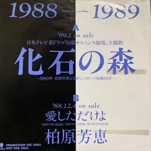 化石の森/YOSHIE KASHIWABARA/柏原芳恵｜日本のロック｜ディスク