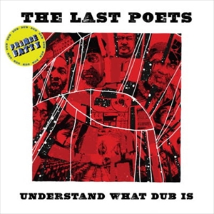 LAST POETS / ラスト・ポエッツ / UNDERSTAND WHAT DUB IS