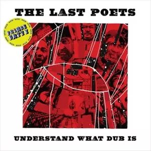 LAST POETS / ラスト・ポエッツ / UNDERSTAND WHAT DUB IS