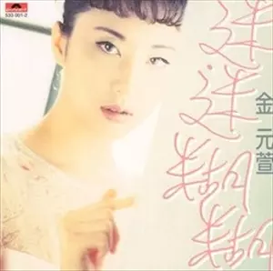 キム・ワンソン 김완선　金元萱　シルエットのCD「迷迷糊糊」　台湾盤 KIM WAN SUN / キム・ワンソン商品一覧｜ディスクユニオン・オンライン