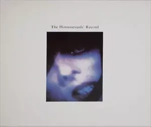 HOMOSEXUALS / ホモセクシャルズ / HOMOSEXUALS' RECORD