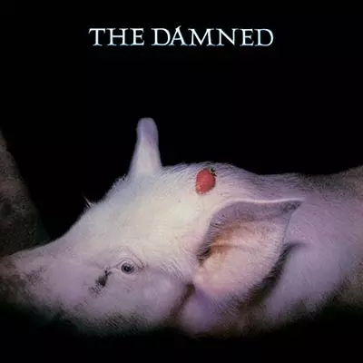 DAMNED商品一覧｜PUNK｜ディスクユニオン・オンラインショップ