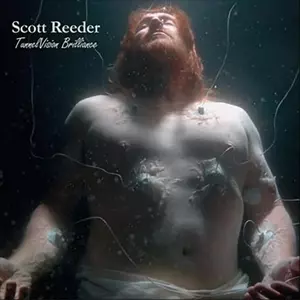 SCOTT REEDER / TUNNELVISION BRILLIANCE