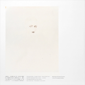 KEIJI HAINO (experimental mixture) / 灰野敬二 / LOSS PERMITTED TO OPEN ITS EYES FOR BUT THREE HOURS AND THERE GLIMPSED, FINALLY IN FOCUS A MYSTERY THAT BEGS EARNESTLY, "ASK ME NOTHING" NOW, ONCE MORE THE PROBLEM IS YOURS ALONE