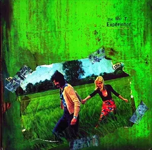 MR.T.EXPERIENCE (MTX) / ミスター・ティー・エクスペリエンス / OUR BODIES OUR SELVES