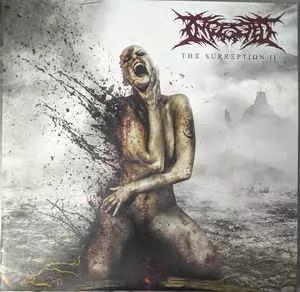 Ingested ‎– The Surreption CD デスコア デスメタル Ingested ‎– The Surreption CD デスコア デスメタル Ingested