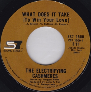 ELECTRIFYING CASHMERES / WHAT DOES IT TAKE (TO WIN YOUR LOVE)