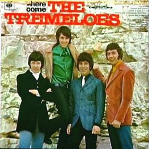 TREMELOES / トレメローズ / HERE COME