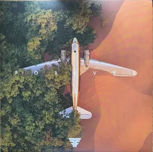 FLIGHT FACILITIES / フライト・ファシリティーズ / FOREVER (LP)