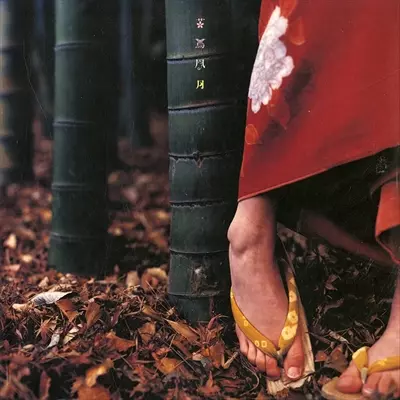 [未使用品 アナログレコード LP盤 2枚組 再編盤]　スピッツ　花鳥風月+ 花鳥風月/SPITZ/スピッツ｜平成J-POP｜ディスクユニオン・オンライン