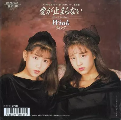 WINK　ウィンク　レコード　3枚　愛が止まらない 愛が止まらない/WINK/ウインク｜日本のロック｜ディスクユニオン