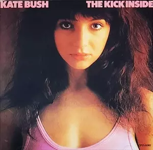 天使と小悪魔/KATE BUSH/ケイト・ブッシュ｜OLD ROCK｜ディスク