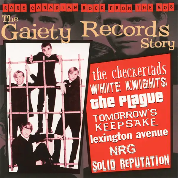 V.A. (GARAGE) / THE GAIETY RECORDS STORY: VOL.1 (CD)