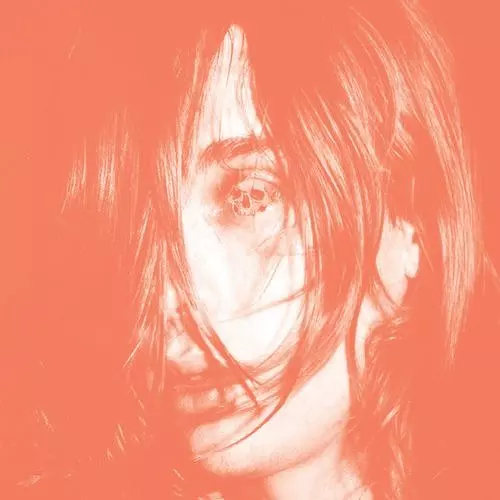 DEERHUNTER / ディアハンター / MICROCASTLE / WEIRD ERA CONTINUED (2LP)