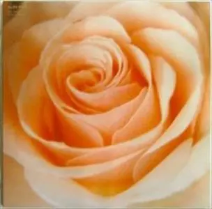 サニーデイ サービス BEST FLOWER BEST FLOWER/Sunny Day Service/サニーデイ・サービス｜日本の