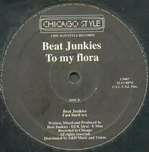 BEAT JUNKIES / TO MY FLORA