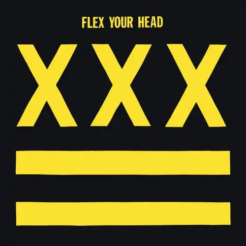 V.A. (DISCHORD RECORDS) / オムニバス (DISCHORD RECORDS) / FLEX YOUR HEAD (LP)