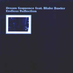 DREAM SEQUENCE / ENDLESS REFLECTION (LP)