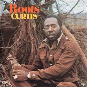 Curtis Mayfield カーティスメイフィールド レアグルーヴ 邦楽