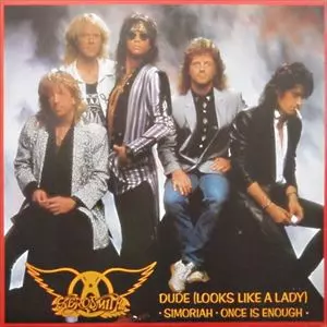 DUDE&frasl;AEROSMITH&frasl;エアロスミス｜HARDROCK &amp; HEAVYMETAL｜ディスク