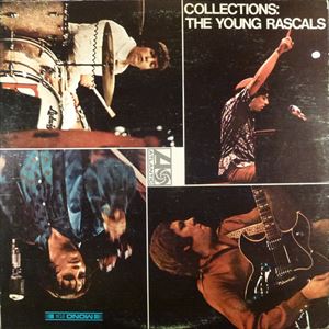 YOUNG RASCALS / ヤング・ラスカルズ / COLLECTION
