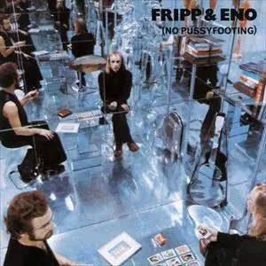ROBERT FRIPP/BRIAN ENO / フリップ&イーノ / NO PUSSYFOOTING