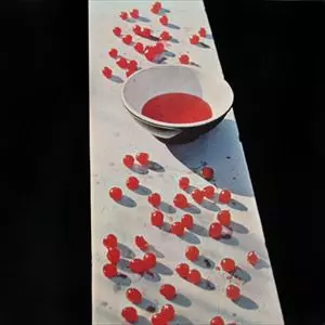 MCCARTNEY/PAUL McCARTNEY/ポール・マッカートニー｜OLD ROCK