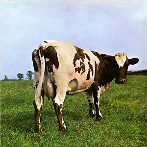 PINK FLOYD / ピンク・フロイド / ATOM HEART MOTHER