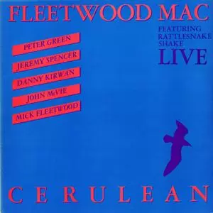 CERULEAN/FLEETWOOD MAC/フリートウッド・マック｜OLD ROCK｜ディスク