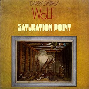 DARRYL WAY'S WOLF / ダリル・ウェイズ・ウルフ / SATURATION POINT