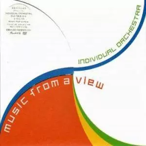 INDIVIDUAL ORCHESTRA / MUSIC FROM A VIEW