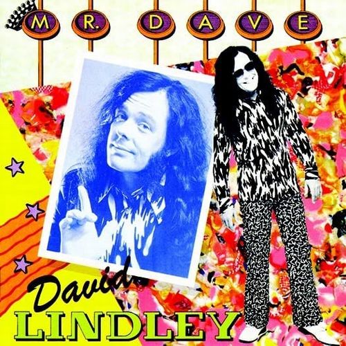 DAVID LINDLEY / デヴィッド・リンドレー / MR. DAVE (CD)