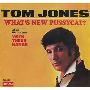 TOM JONES / トム・ジョーンズ / 何かいいことないか仔猫チャン?