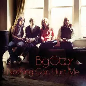 ◾️稀少歴史的名盤■BIG STAR ■ビッグ・スター■Nothing Can H NOTHING CAN HURT ME /BIG STAR/ビッグ・スター｜OLD ROCK｜ディスク