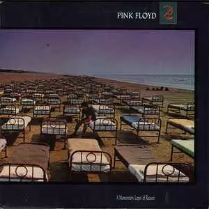 PINK FLOYD / ピンク・フロイド / MOMENTARY LAPSE OF REASON