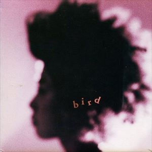 bird / bird