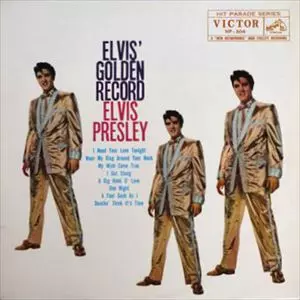 エルビスプレスリー ELVIS PRESLEY ゴールドレコード ディスク エルヴィス・ゴールデン・レコード/ELVIS PRESLEY/エルヴィス