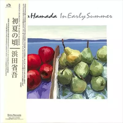 初夏の頃/SHOGO HAMADA/浜田省吾｜日本のロック｜ディスク