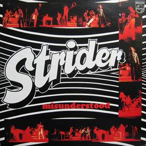 STRIDER / ストライダー / MISUNDERSTOOD / 第三世代