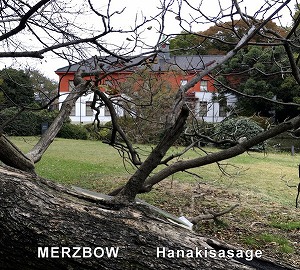 MERZBOW / メルツバウ / HANAKISASAGE