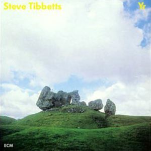 STEVE TIBBETTS / スティーヴ・ティべッツ / YR