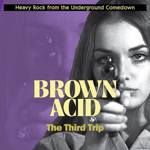 V.A. (BROWN ACID) / BROWN ACID: THE THIRD TRIP (CD)