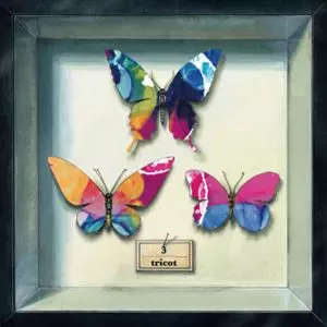 3(999枚限定デラックス盤)/TRICOT｜日本のロック｜ディスクユニオン